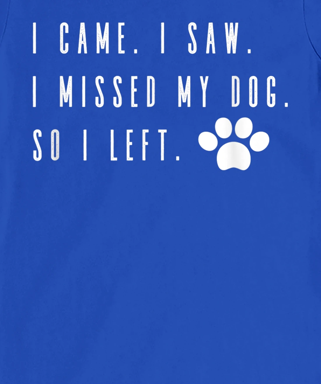 I Came I Saw I Missed my Dog so I Left T-Shirt, Women T-Shirt T-Shirt, Women T-Shirt