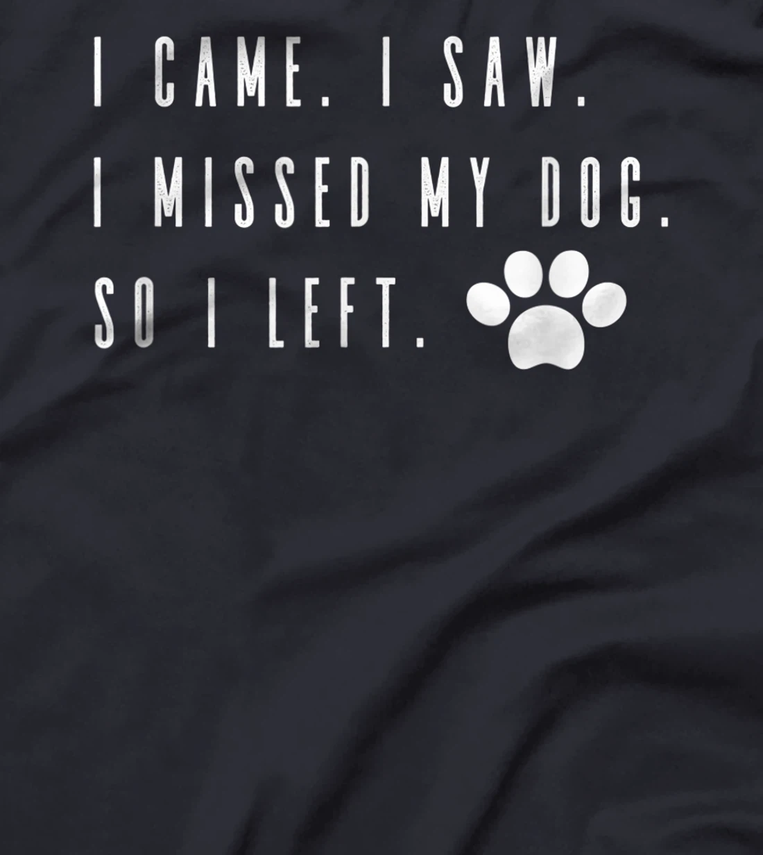 I Came I Saw I Missed my Dog so I Left T-Shirt, Women T-Shirt T-Shirt, Women T-Shirt
