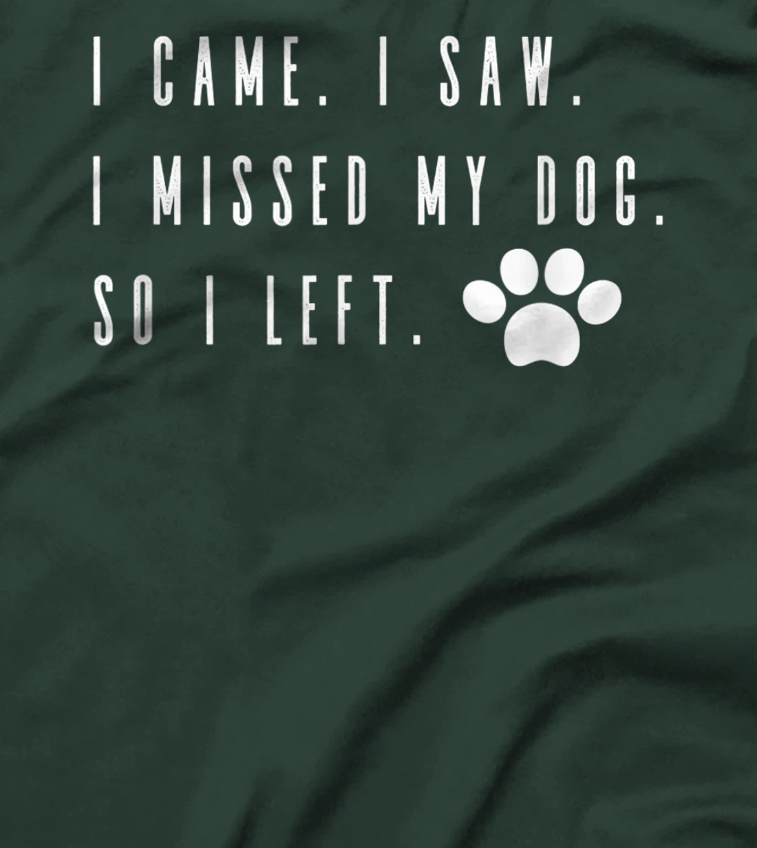 I Came I Saw I Missed my Dog so I Left T-Shirt, Women T-Shirt T-Shirt, Women T-Shirt