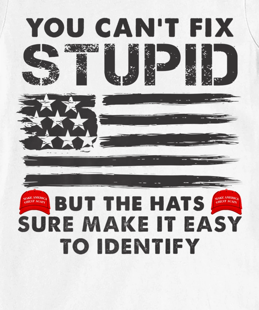 Womens You Can't Fix Stupid But The Hats Sure Make It Funny Costume T-Shirt, Women T-Shirt