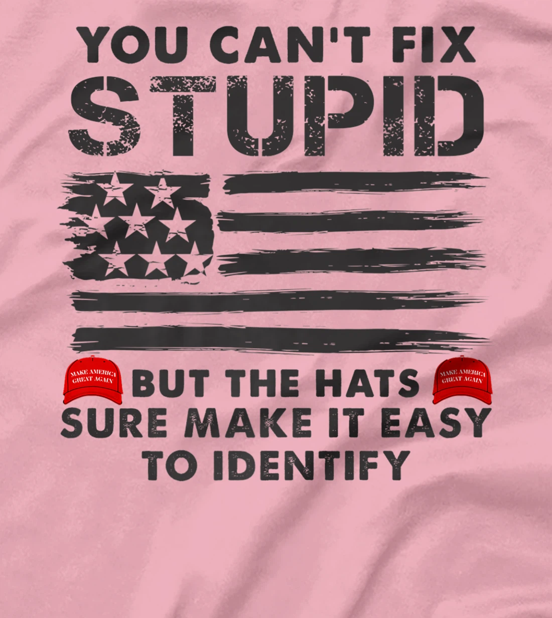 Womens You Can't Fix Stupid But The Hats Sure Make It Funny Costume T-Shirt, Women T-Shirt