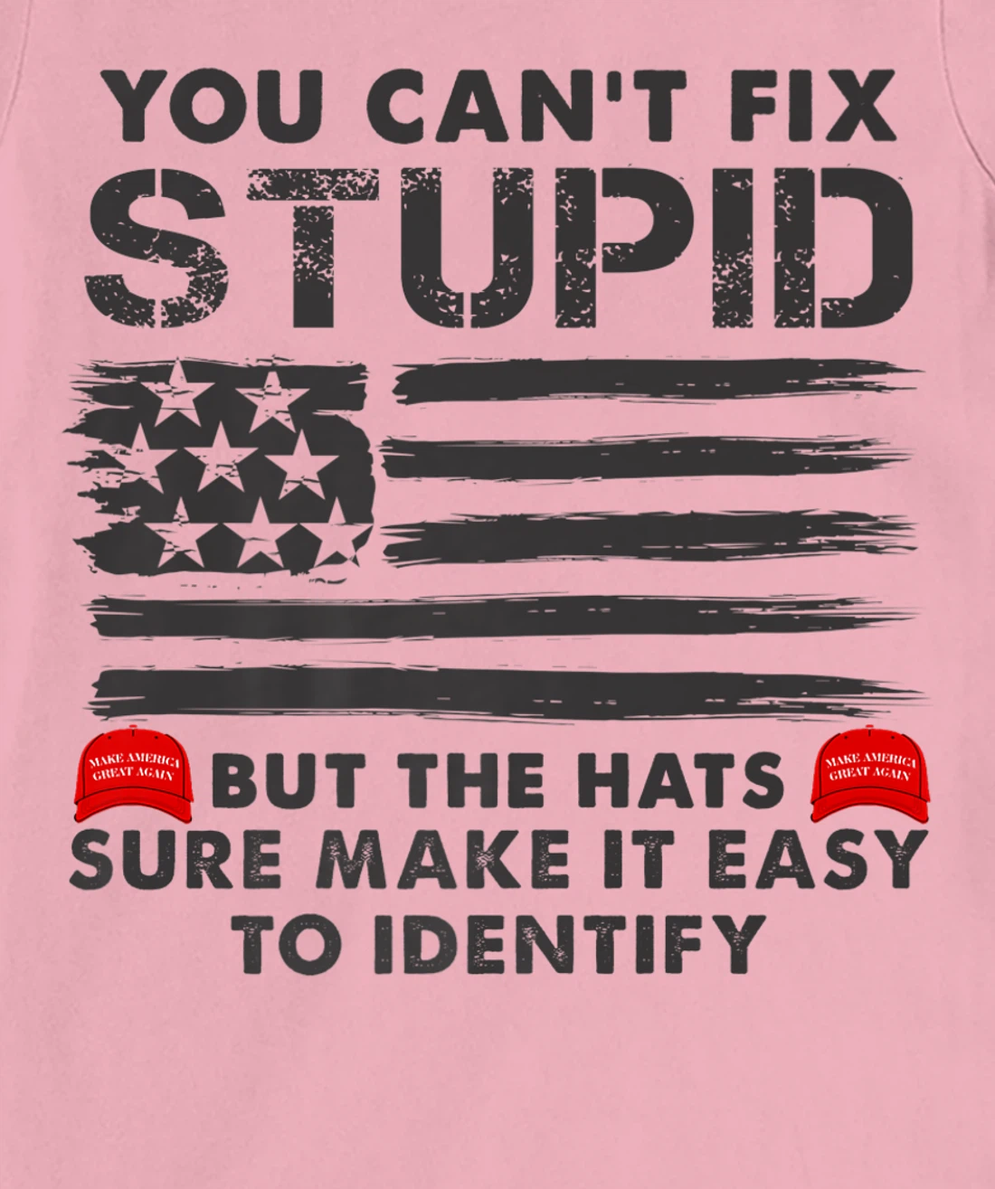 Womens You Can't Fix Stupid But The Hats Sure Make It Funny Costume T-Shirt, Women T-Shirt