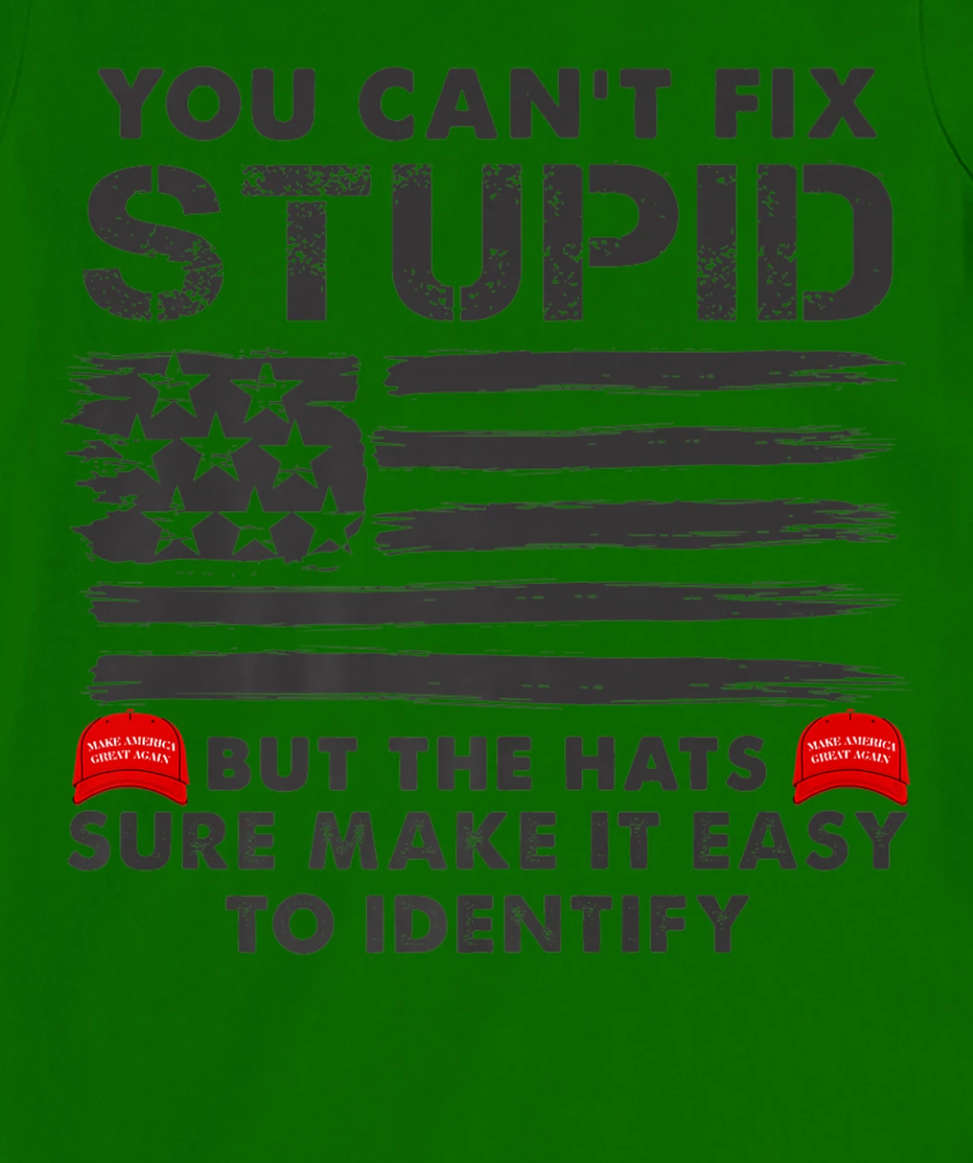 Womens You Can't Fix Stupid But The Hats Sure Make It Funny Costume T-Shirt, Women T-Shirt