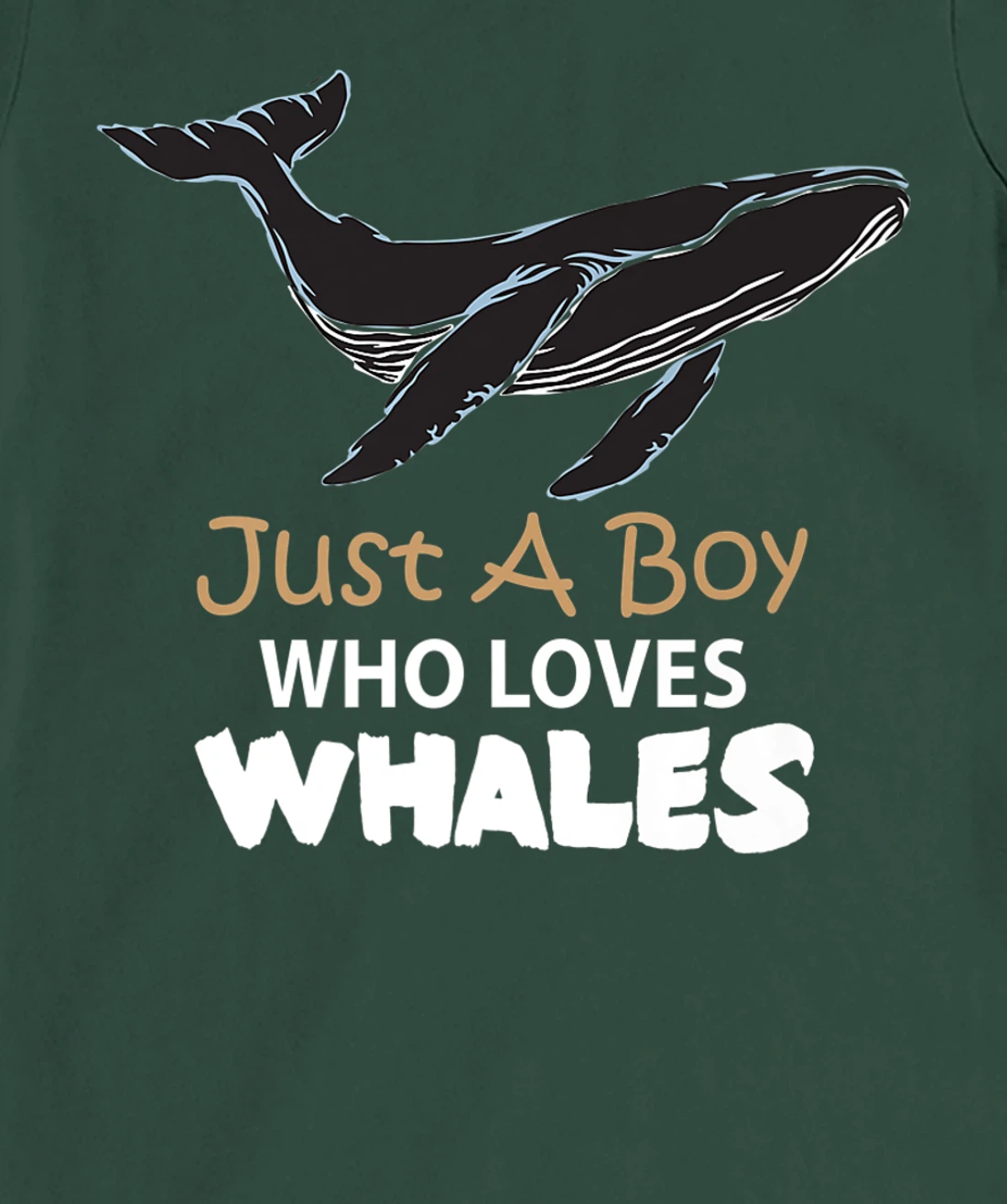 Just a Boy Who Loves Whales Tee Lovers T-Shirt, Women T-Shirt