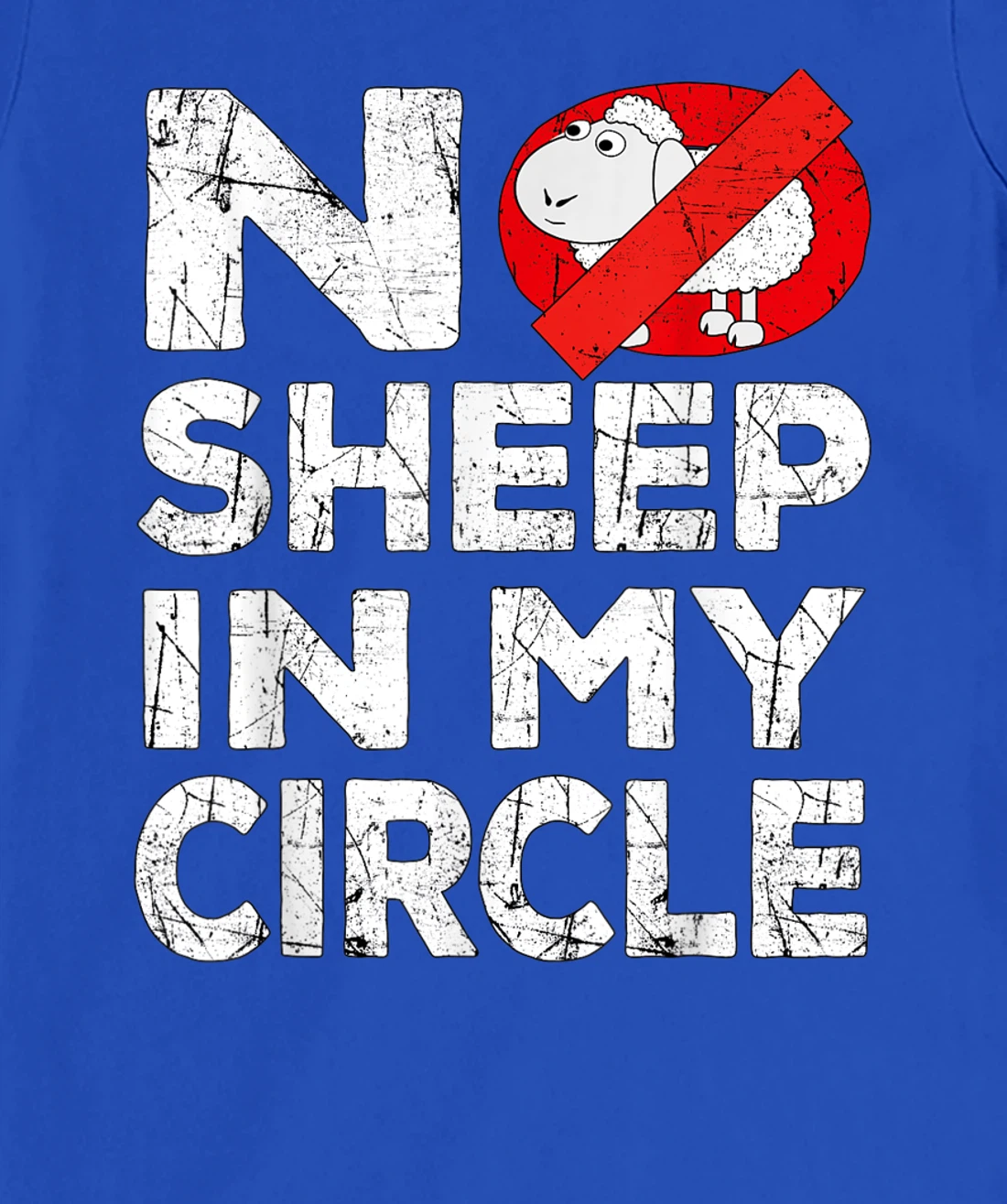 No Sheep In My Circle Funny Sarcastic T-Shirt, Women T-Shirt