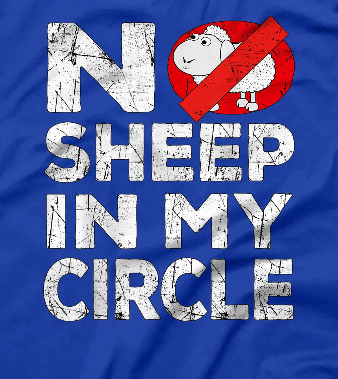 No Sheep In My Circle Funny Sarcastic T-Shirt, Women T-Shirt
