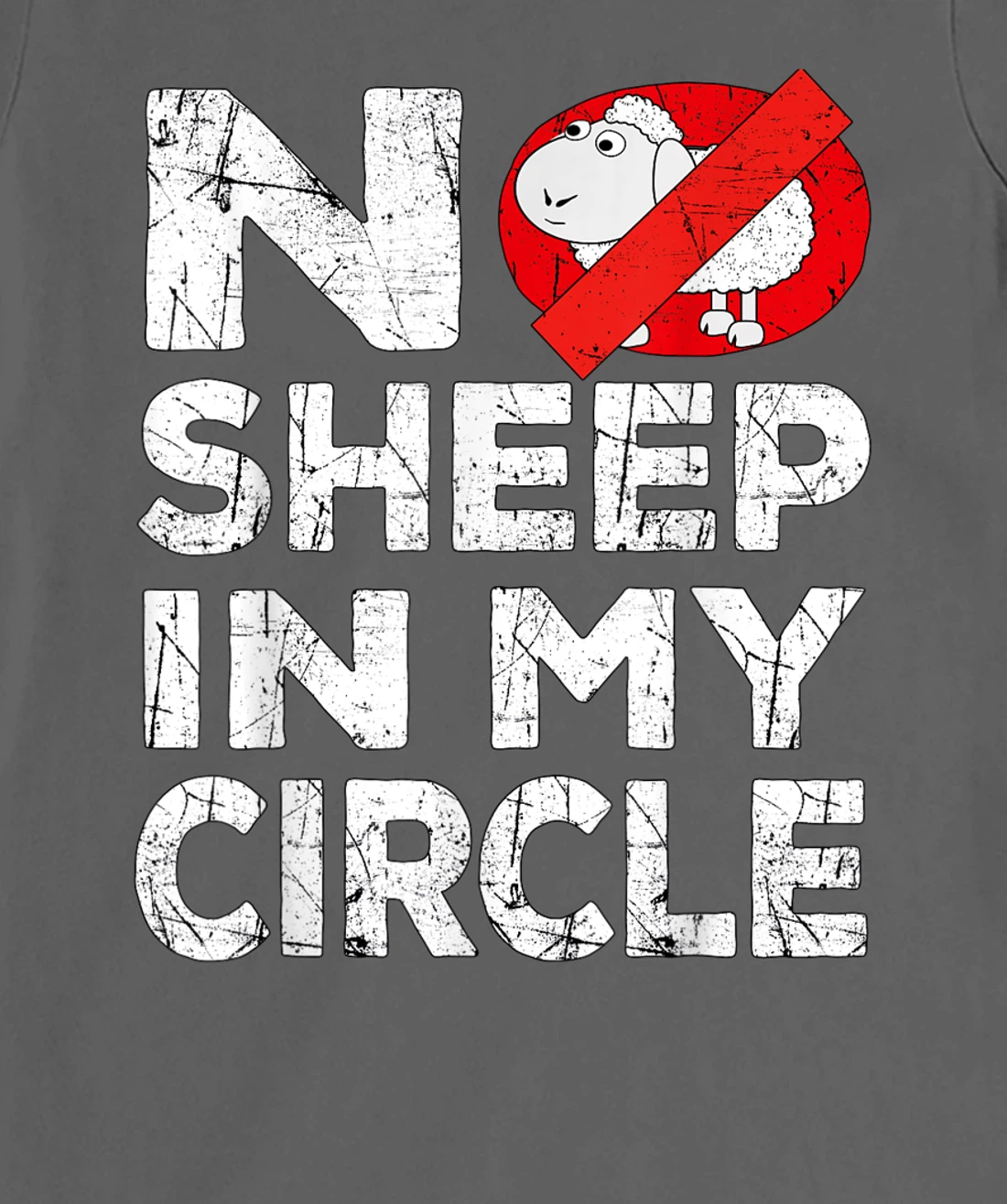 No Sheep In My Circle Funny Sarcastic T-Shirt, Women T-Shirt