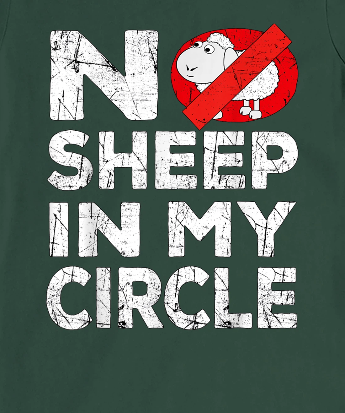 No Sheep In My Circle Funny Sarcastic T-Shirt, Women T-Shirt