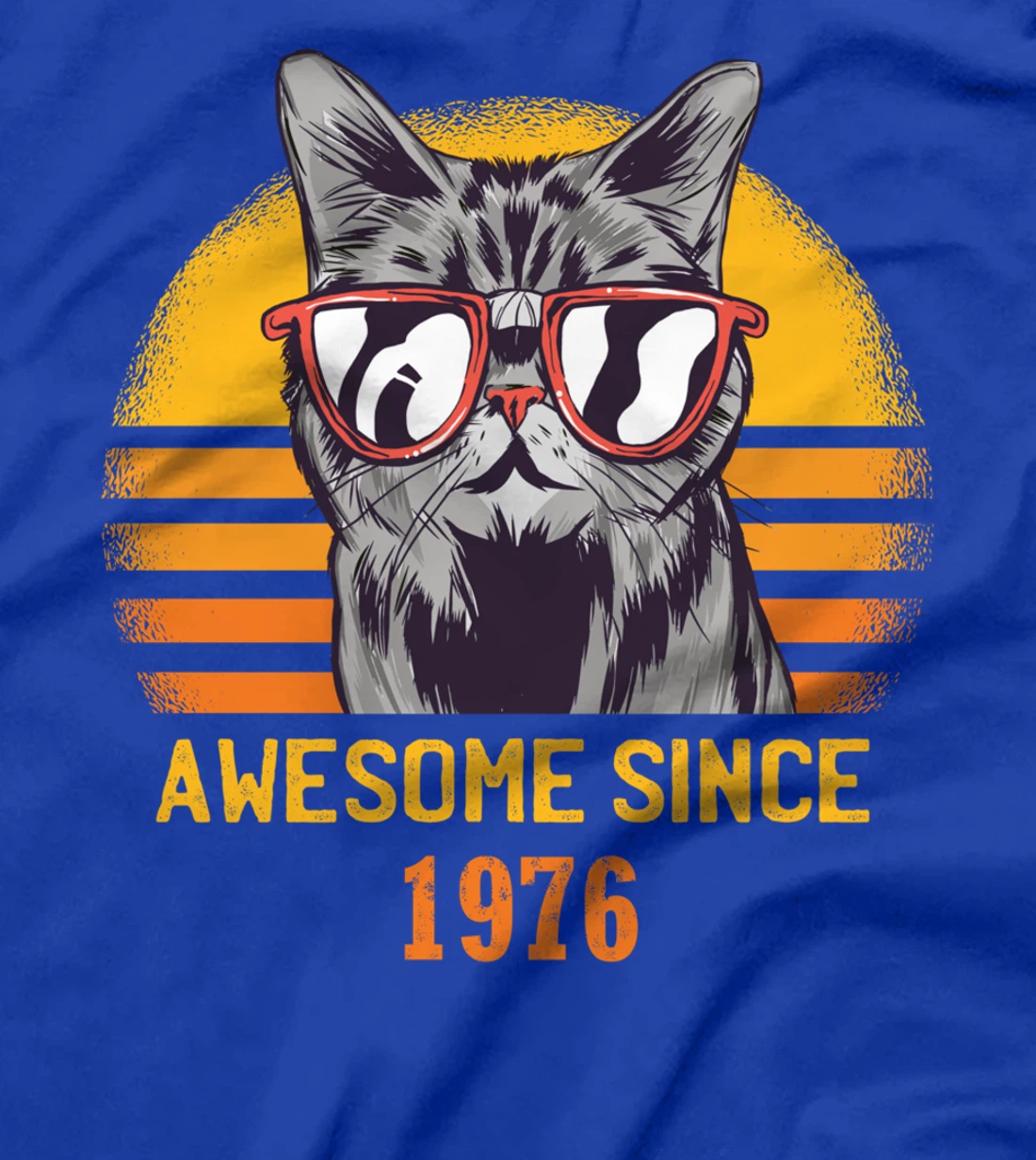 Awesome Since 1976 Cat Design Sunset T-Shirt