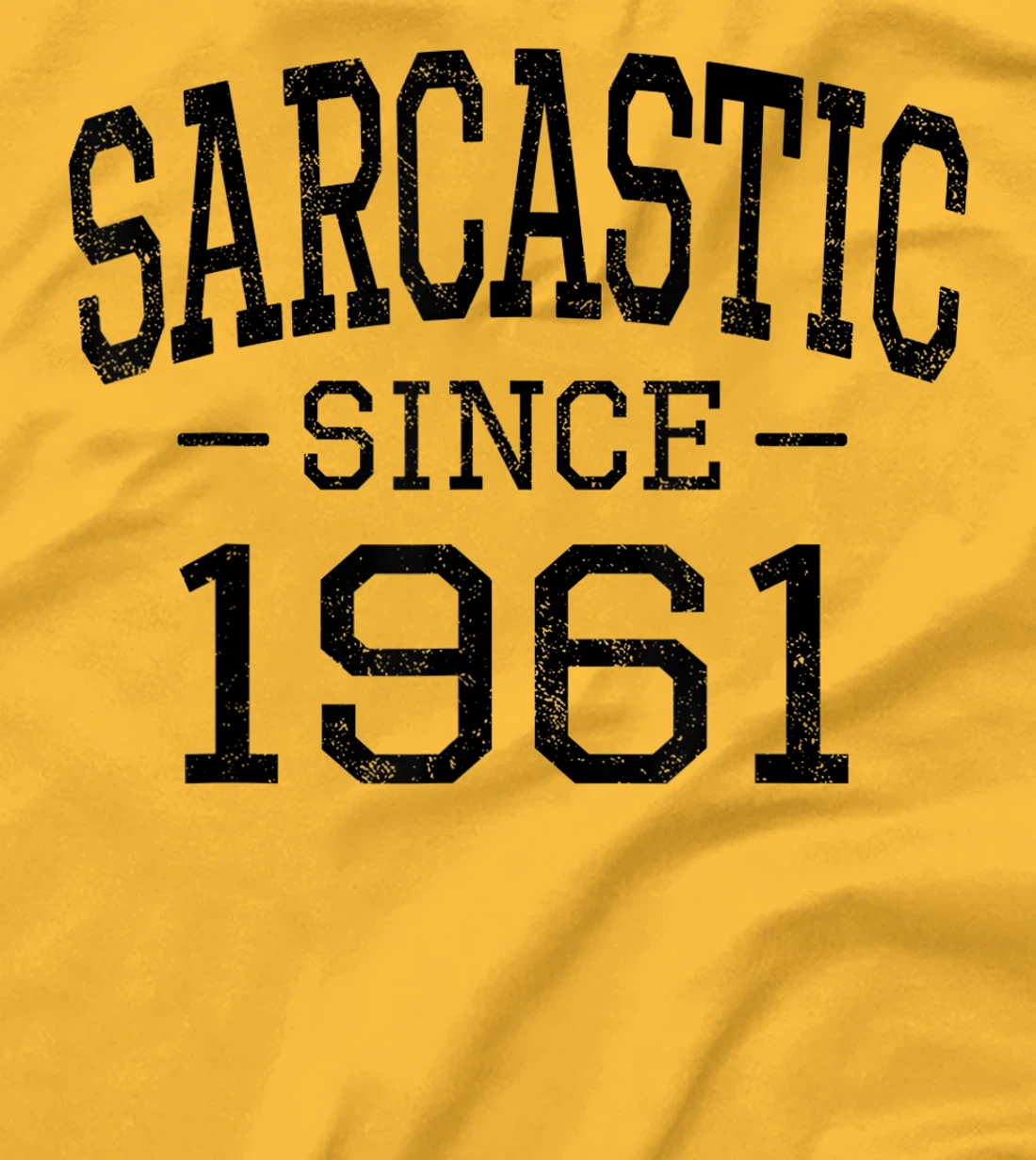 Womens Sarcastic Since 1961 Vintage Style Born in 1961 Birth Year T-Shirt, Women T-Shirt