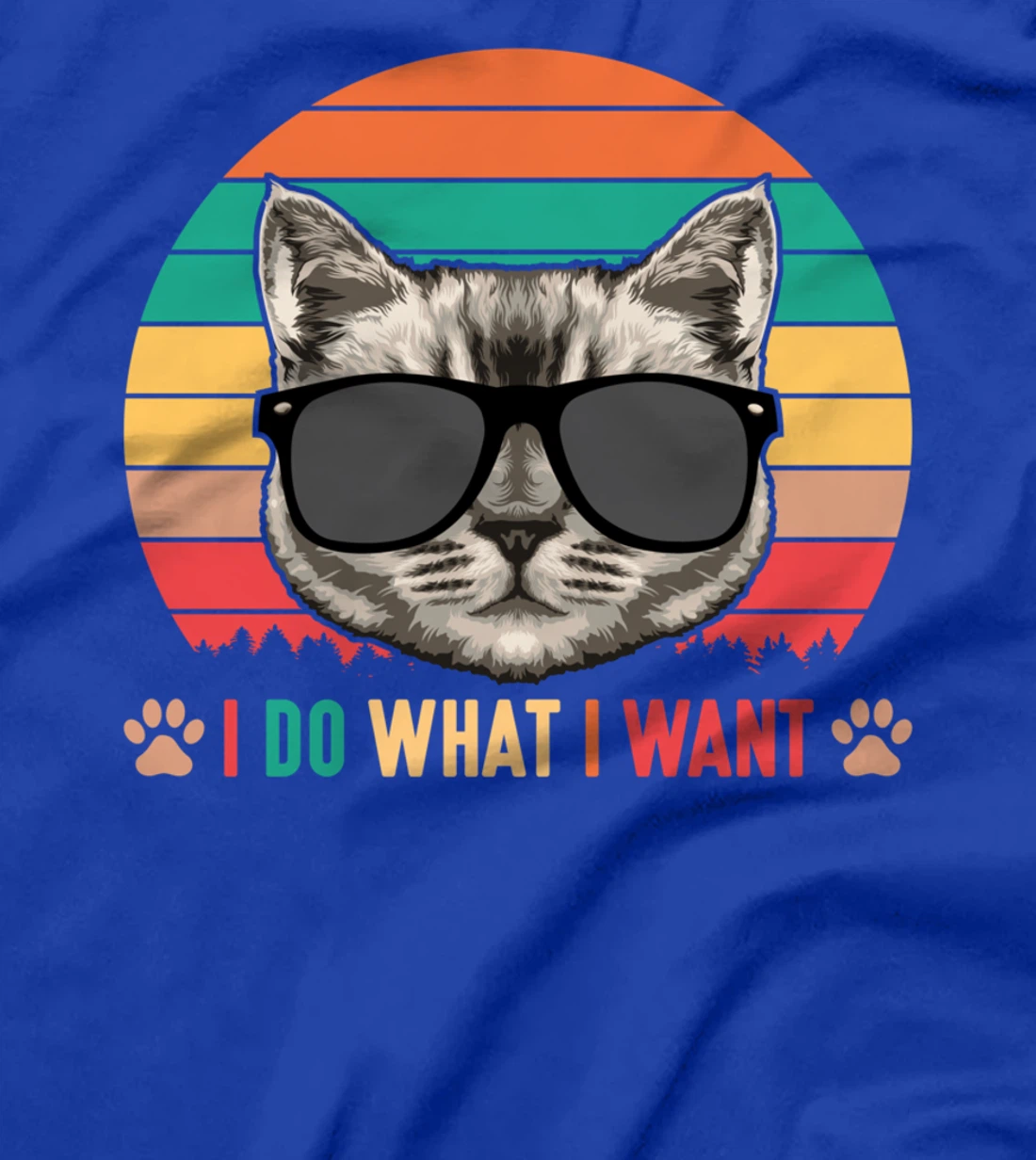 I Do What I Want Funny Retro Cat Sunset Feline Kitty Lover T-Shirt