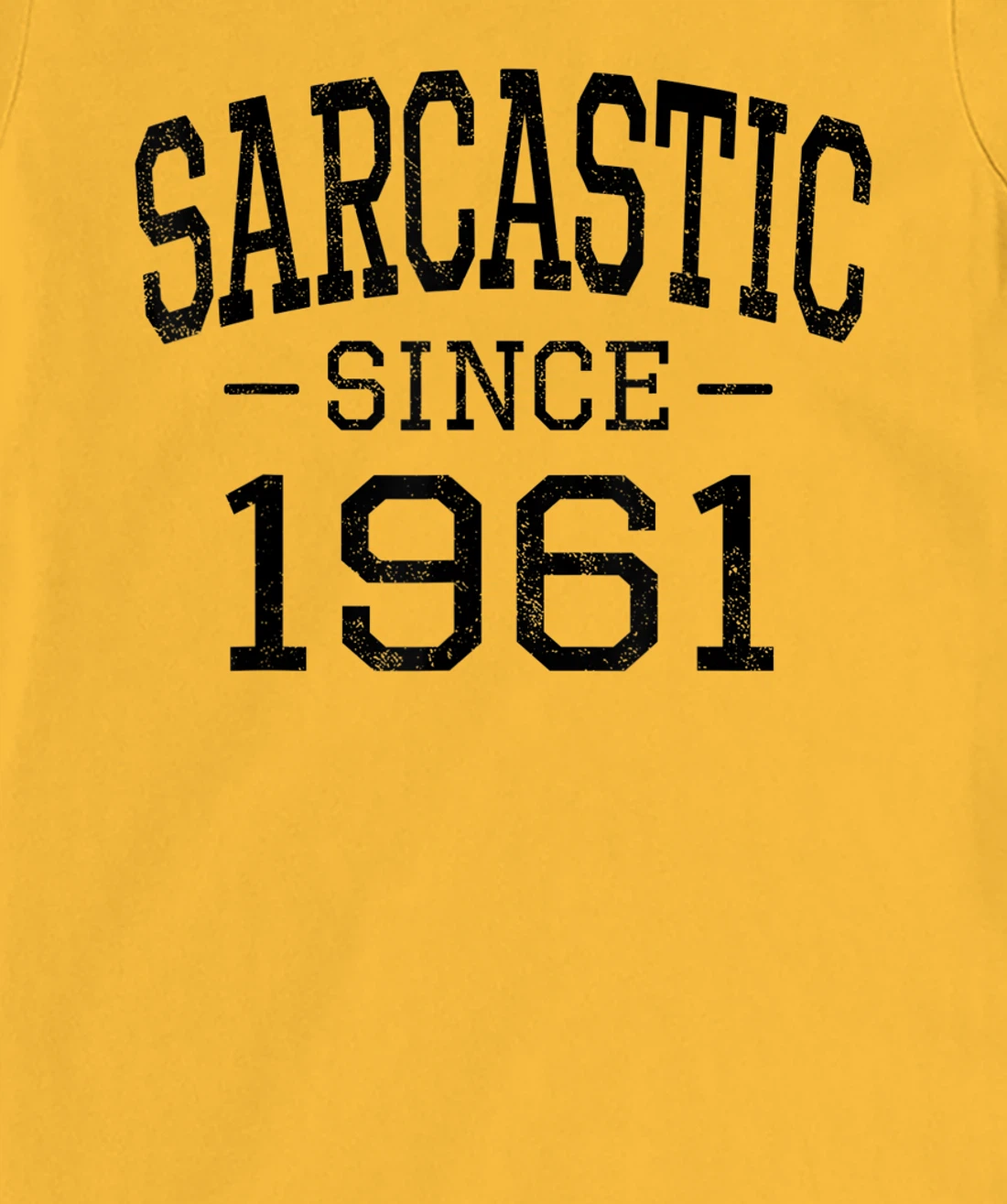 Womens Sarcastic Since 1961 Vintage Style Born in 1961 Birth Year T-Shirt, Women T-Shirt