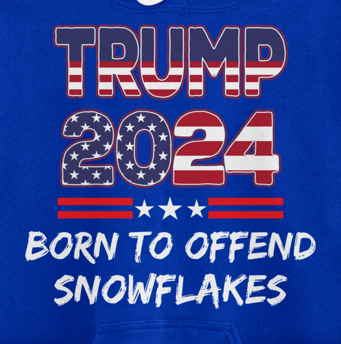 Anti-Liberal Pullover Hoodie