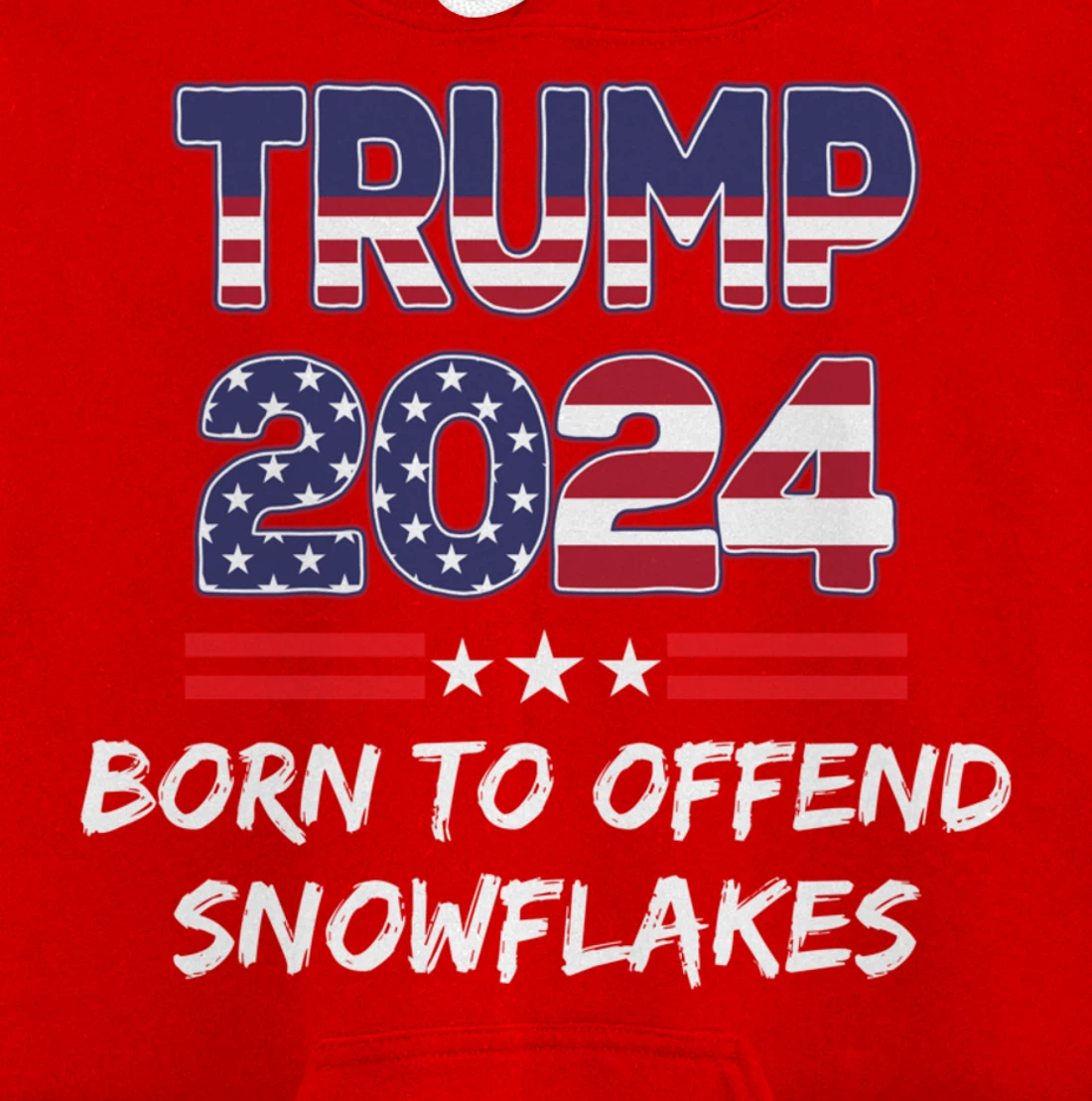 Anti-Liberal Pullover Hoodie