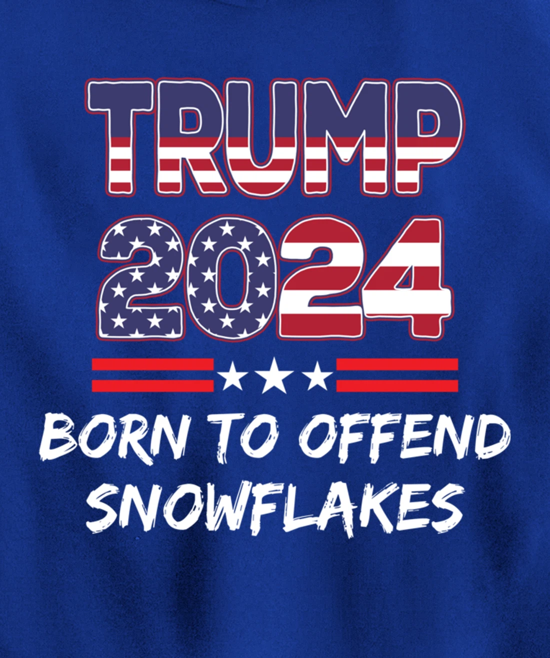 Anti-Liberal Pullover Hoodie