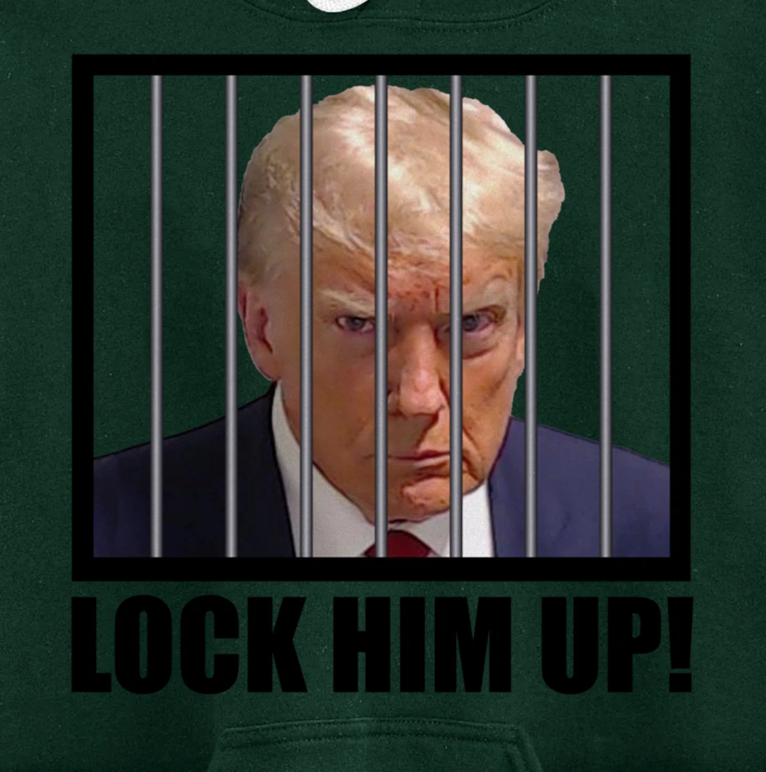 Lock Up Trump Mugshot Pullover Hoodie