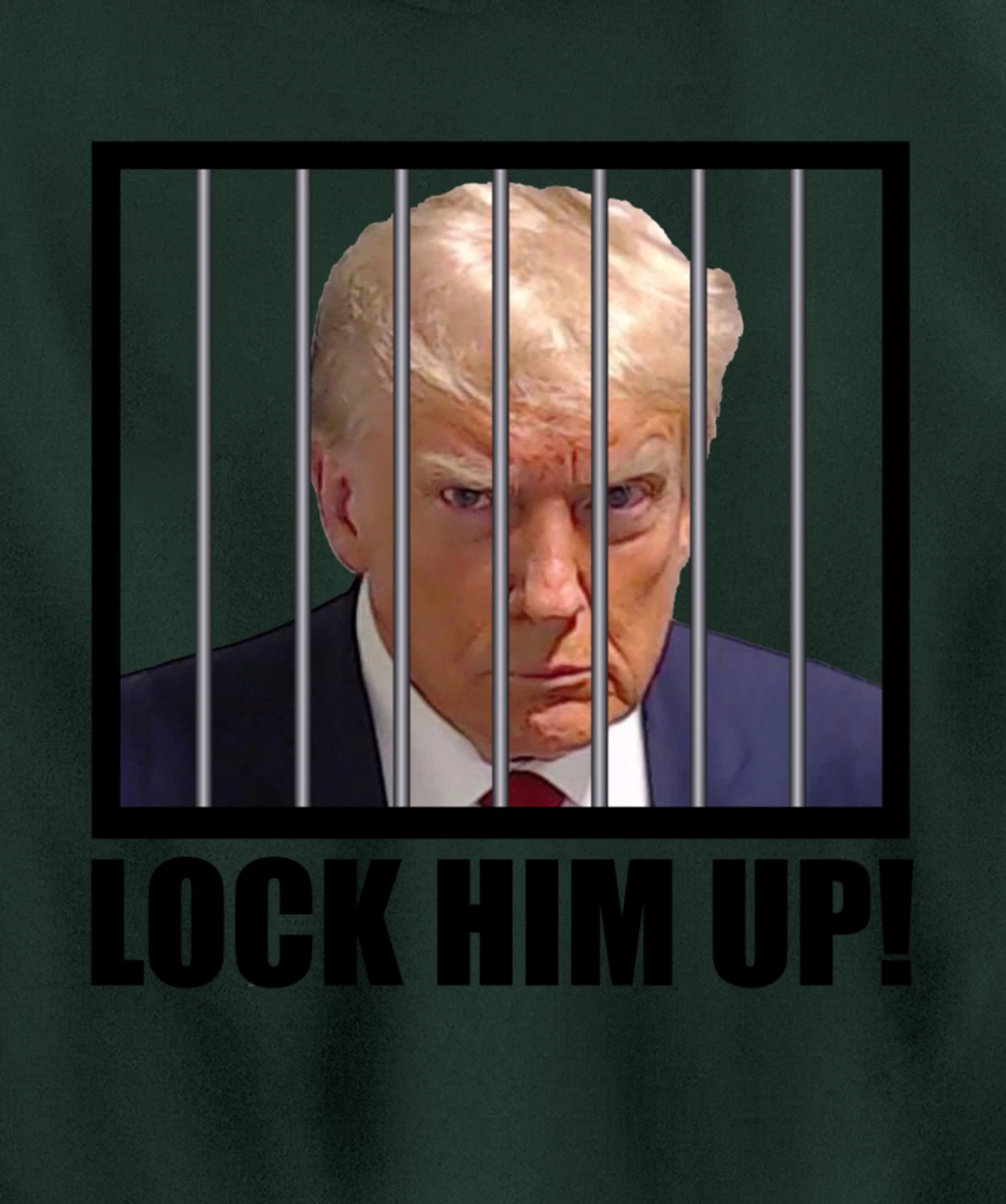 Lock Up Trump Mugshot Pullover Hoodie