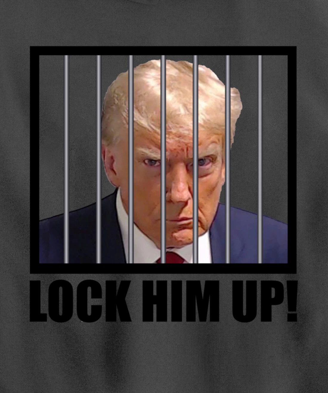 Lock Up Trump Mugshot Pullover Hoodie