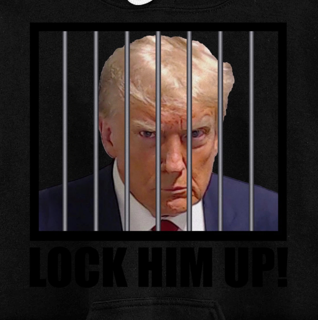 Lock Up Trump Mugshot Pullover Hoodie