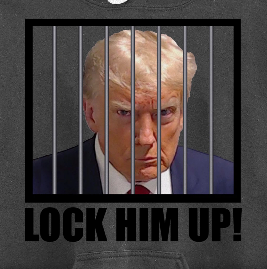 Lock Up Trump Mugshot Pullover Hoodie