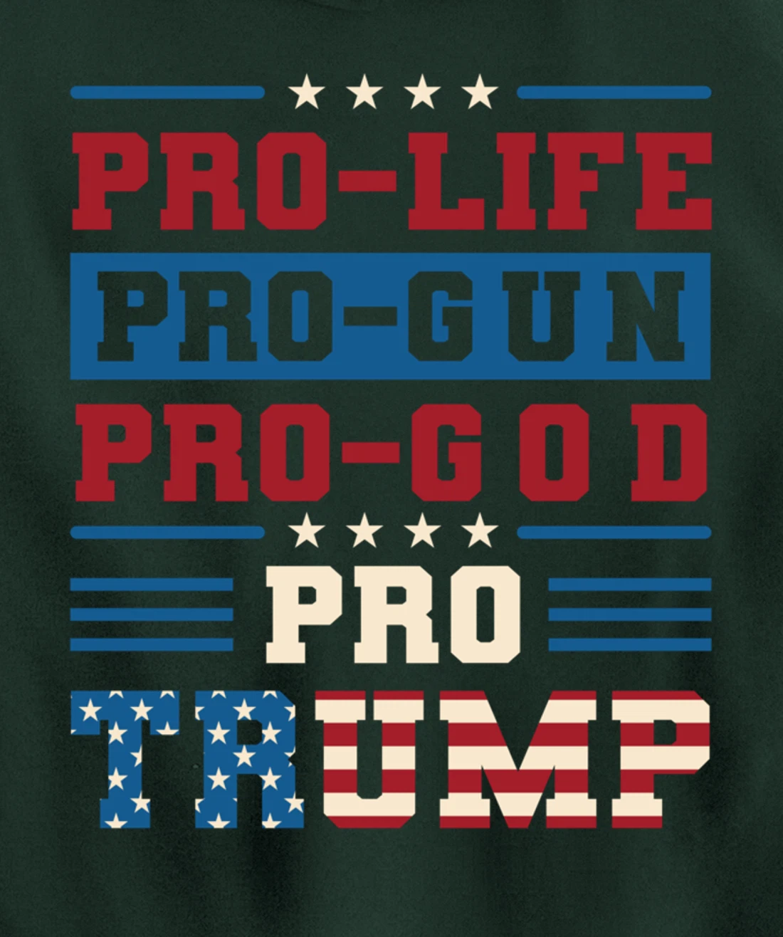 Pro Trump 2024 Pullover Hoodie
