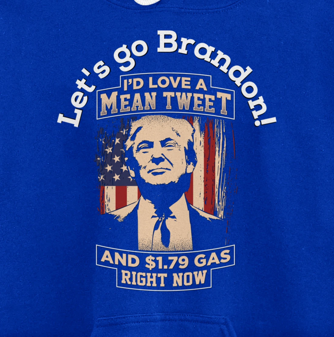 Christmas Biden Funny Republican Political Sarcasm Trump Pullover Hoodie