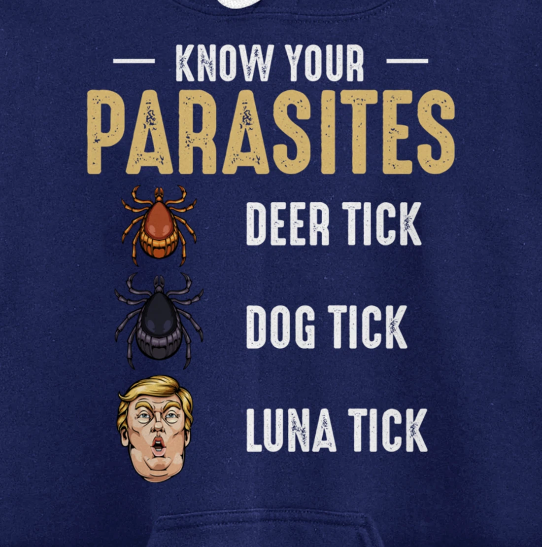 Know Your Parasites - Anti Trump - Presidential Election Pullover Hoodie