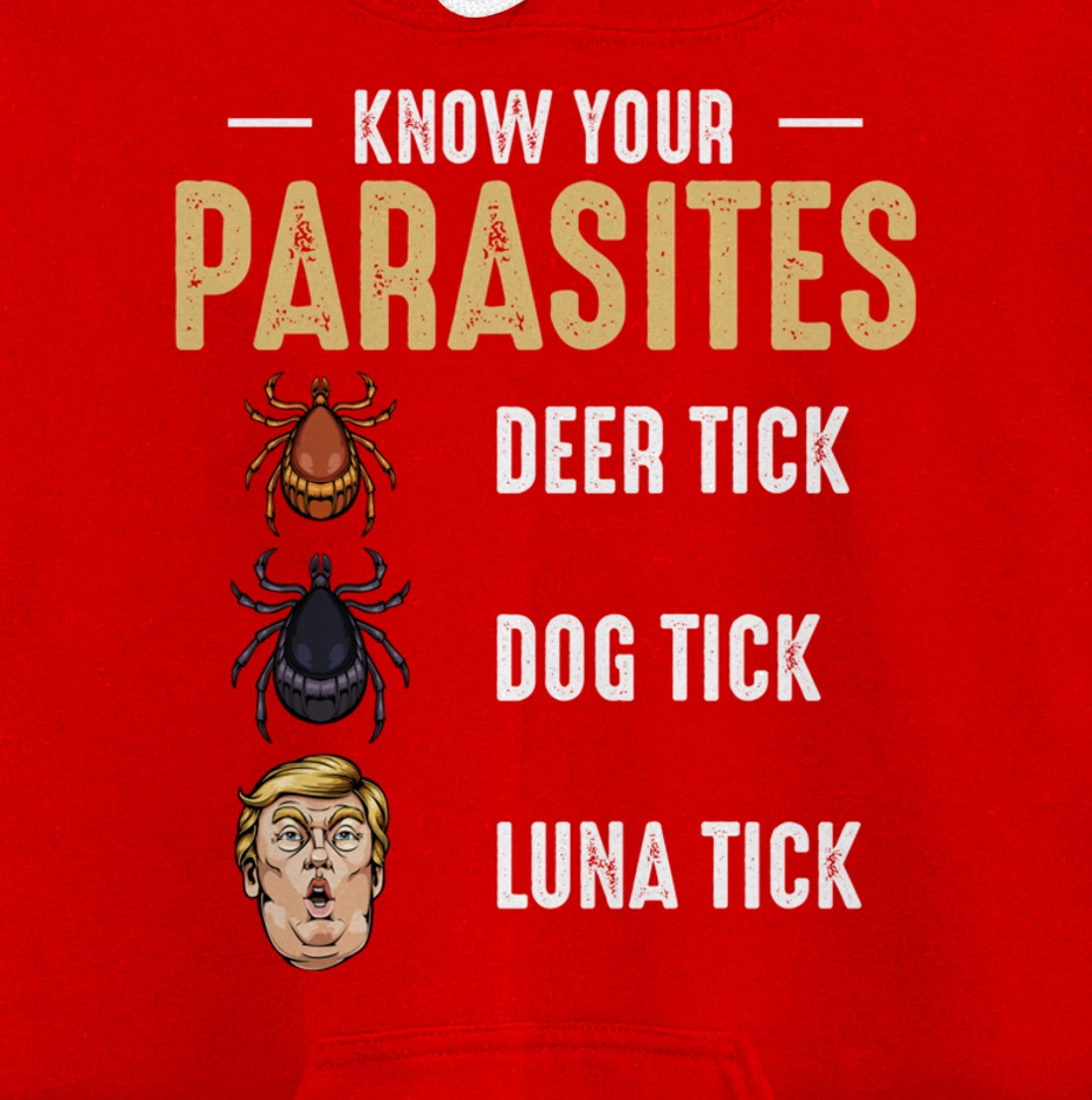 Know Your Parasites - Anti Trump - Presidential Election Pullover Hoodie