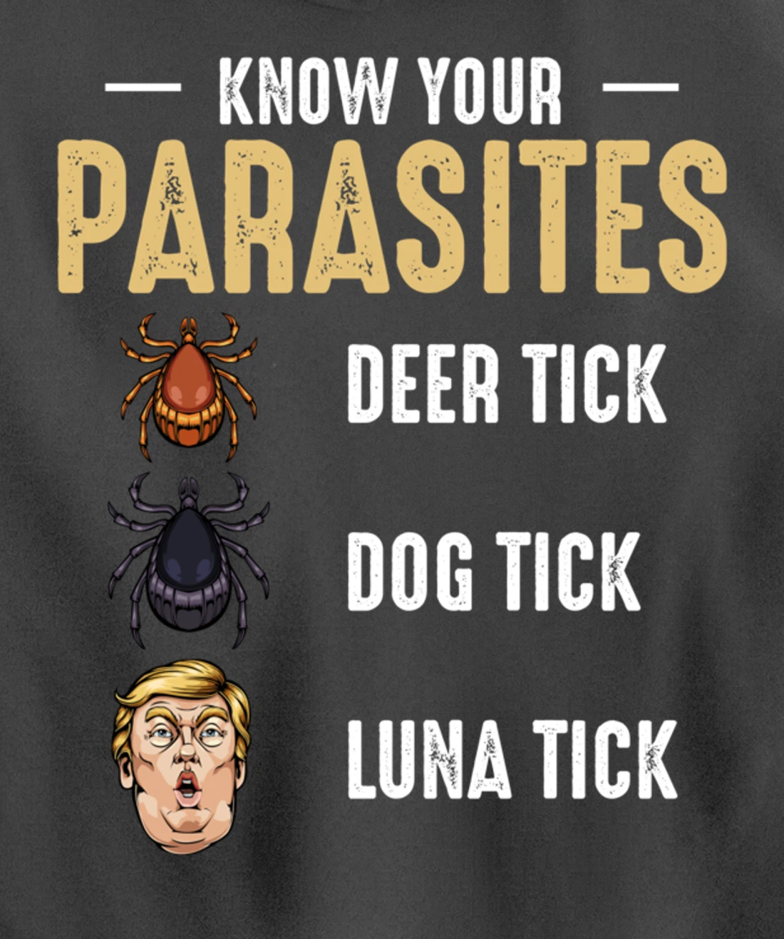 Know Your Parasites - Anti Trump - Presidential Election Pullover Hoodie