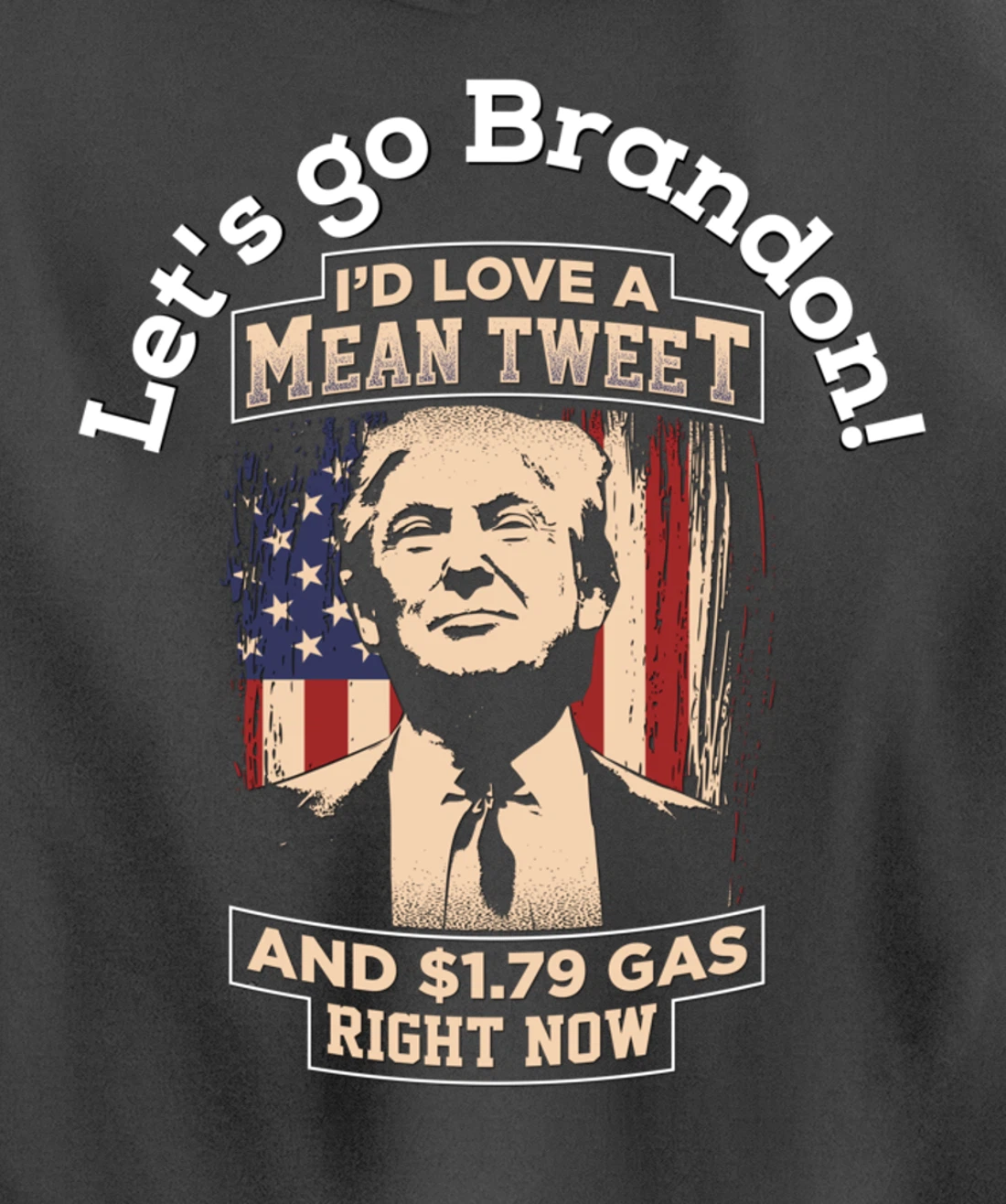 Christmas Biden Funny Republican Political Sarcasm Trump Pullover Hoodie