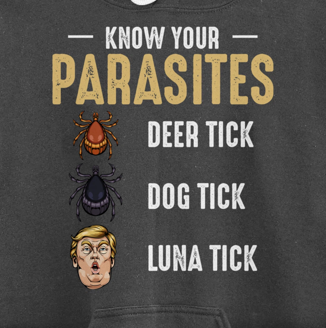 Know Your Parasites - Anti Trump - Presidential Election Pullover Hoodie