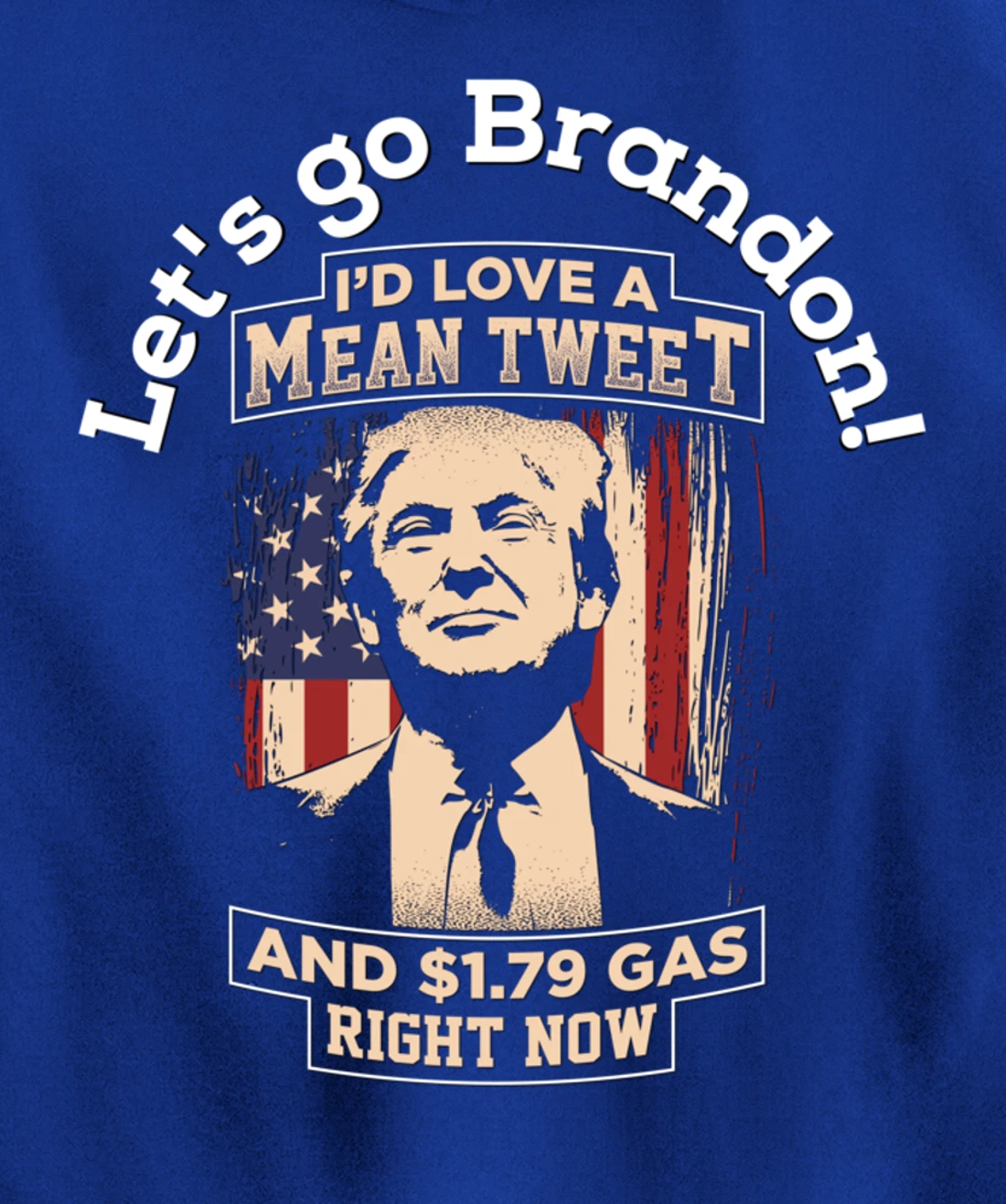 Christmas Biden Funny Republican Political Sarcasm Trump Pullover Hoodie