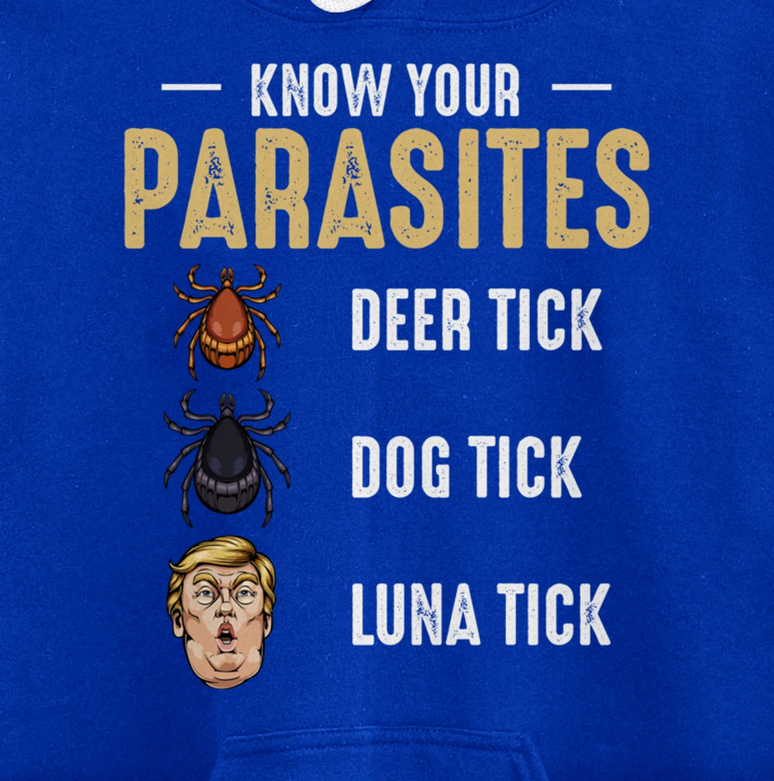 Know Your Parasites - Anti Trump - Presidential Election Pullover Hoodie