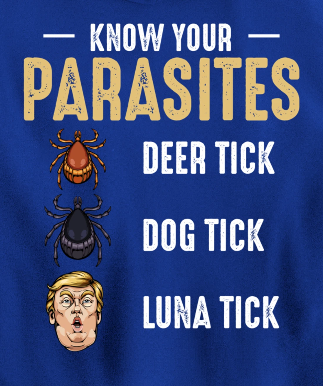 Know Your Parasites - Anti Trump - Presidential Election Pullover Hoodie
