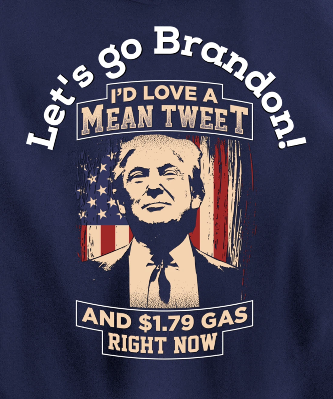 Christmas Biden Funny Republican Political Sarcasm Trump Pullover Hoodie