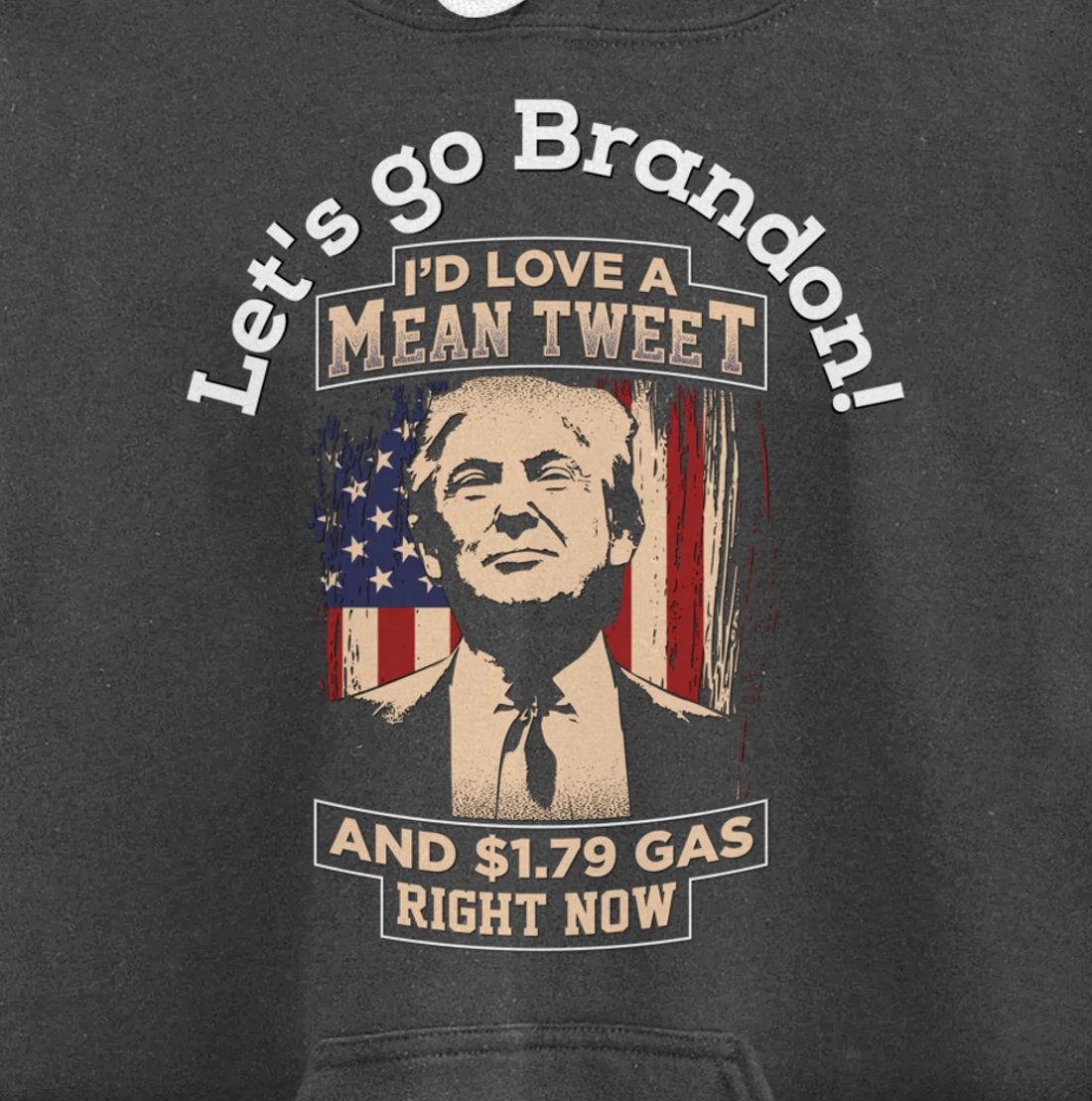 Christmas Biden Funny Republican Political Sarcasm Trump Pullover Hoodie