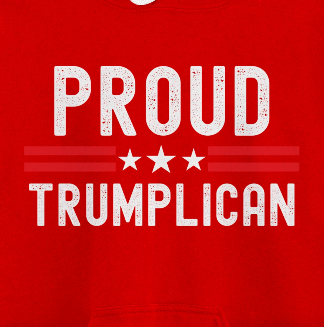 Conservative Pullover Hoodie