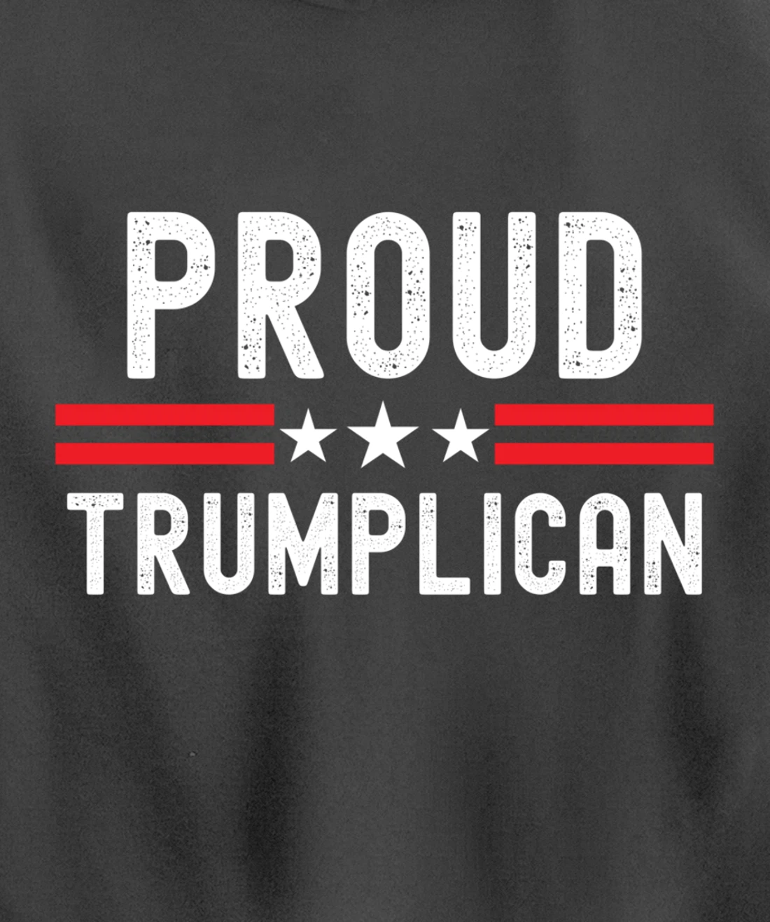 Conservative Pullover Hoodie