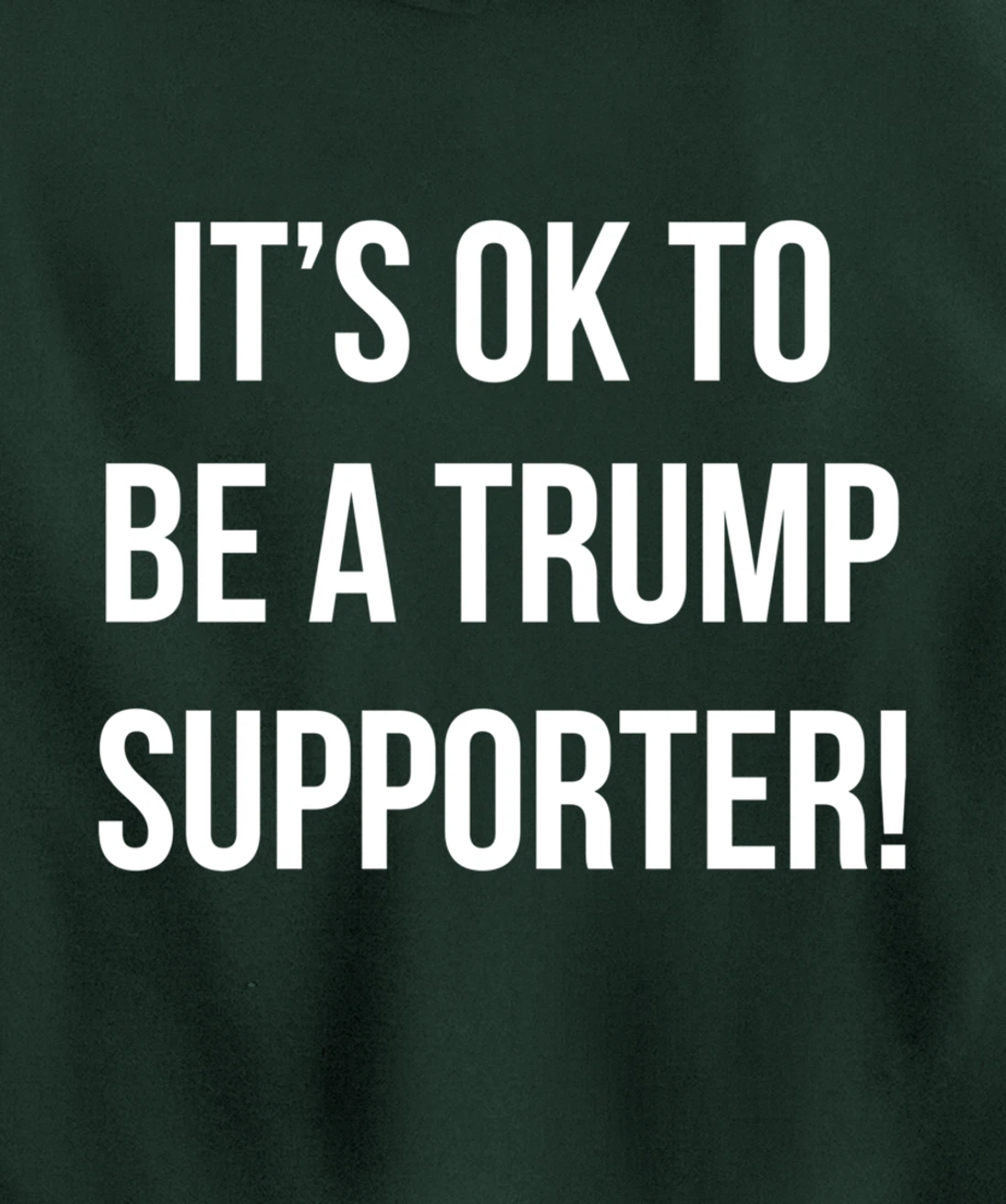 It's Ok to Be a Trump Supporter! Pullover Hoodie