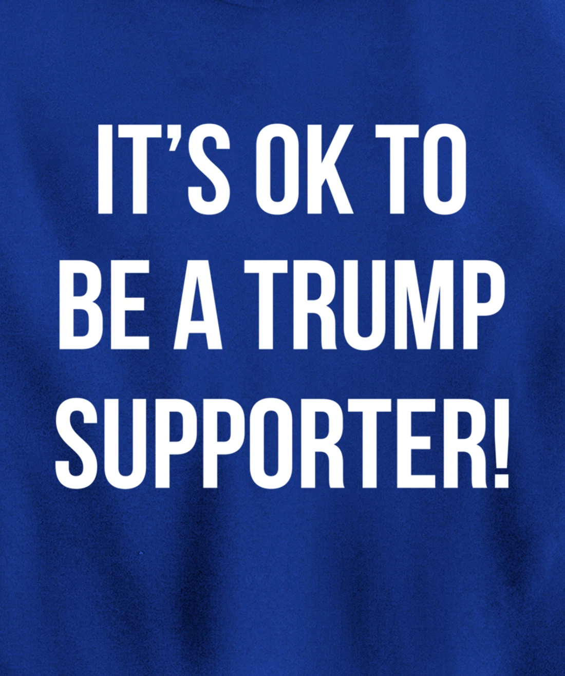 It's Ok to Be a Trump Supporter! Pullover Hoodie
