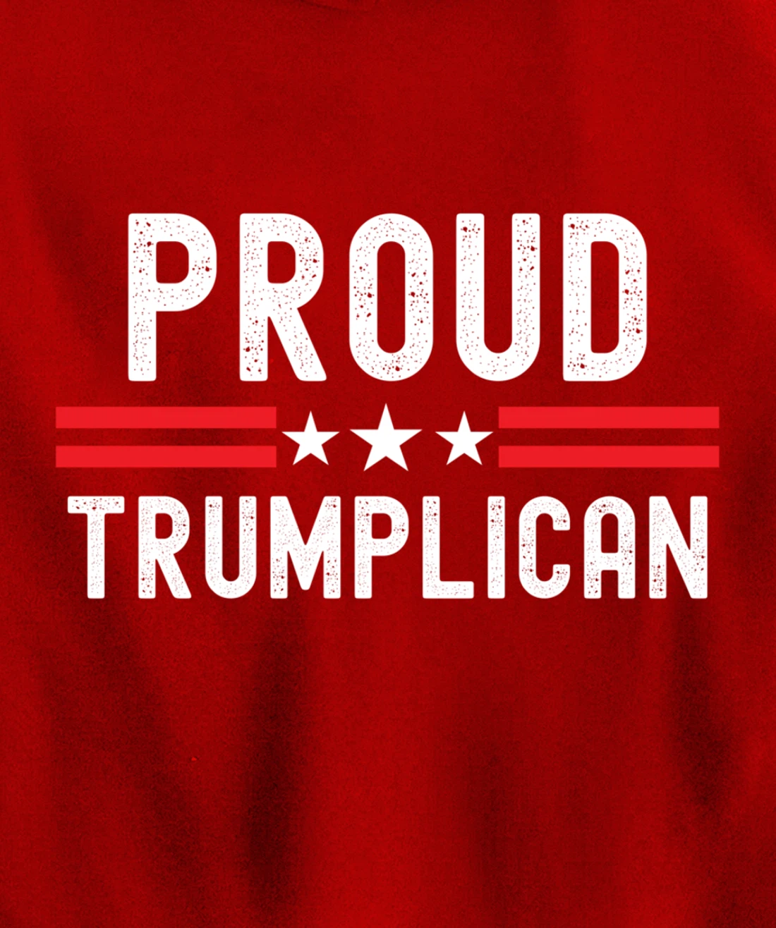 Conservative Pullover Hoodie