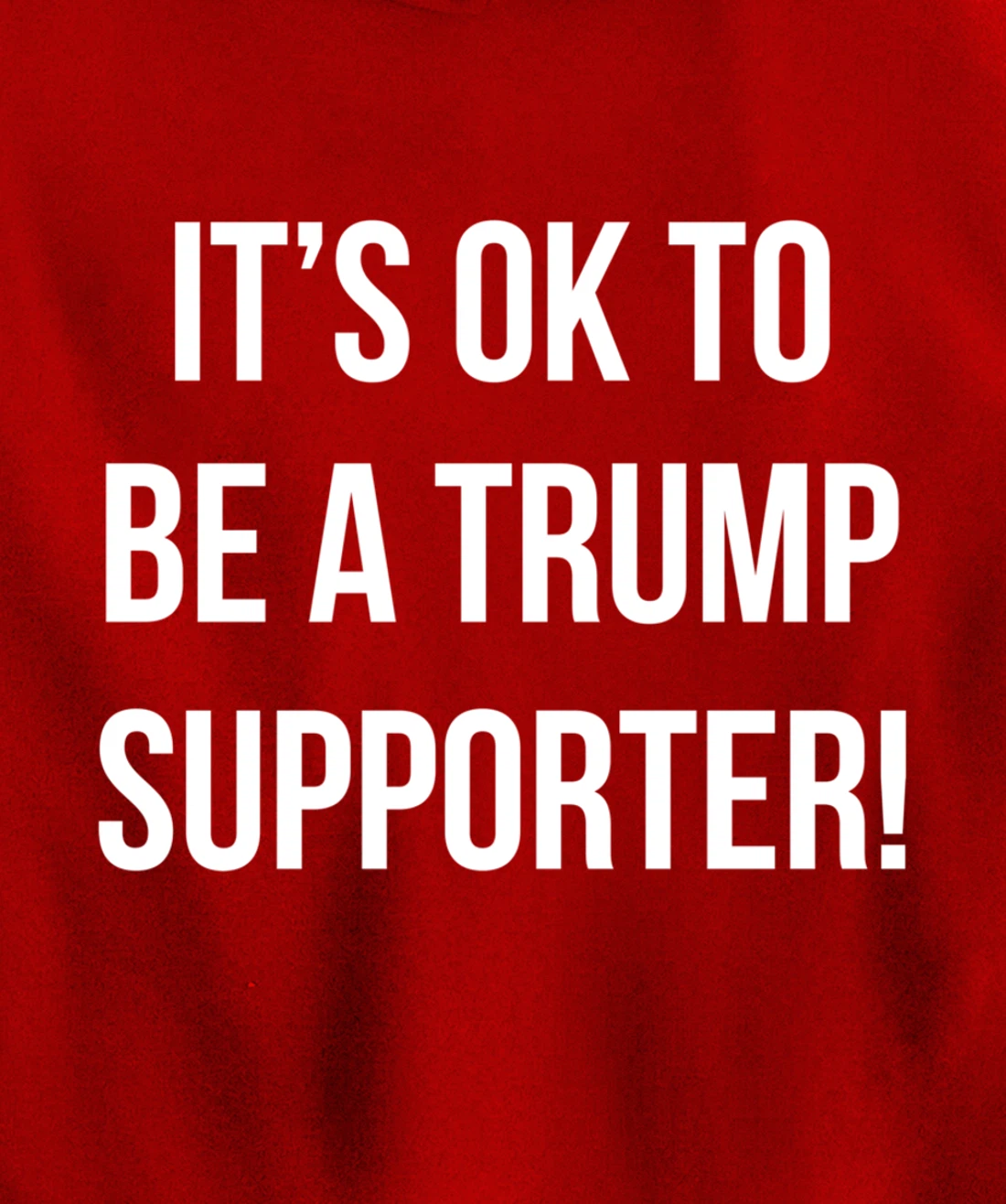 It's Ok to Be a Trump Supporter! Pullover Hoodie