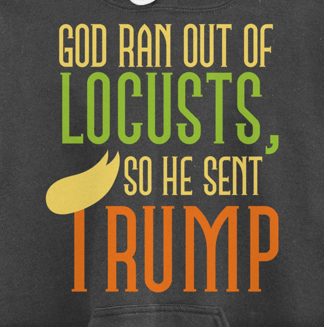 God Ran Out of Locusts, So He Sent Trump Funny Anti-Trump Pullover Hoodie