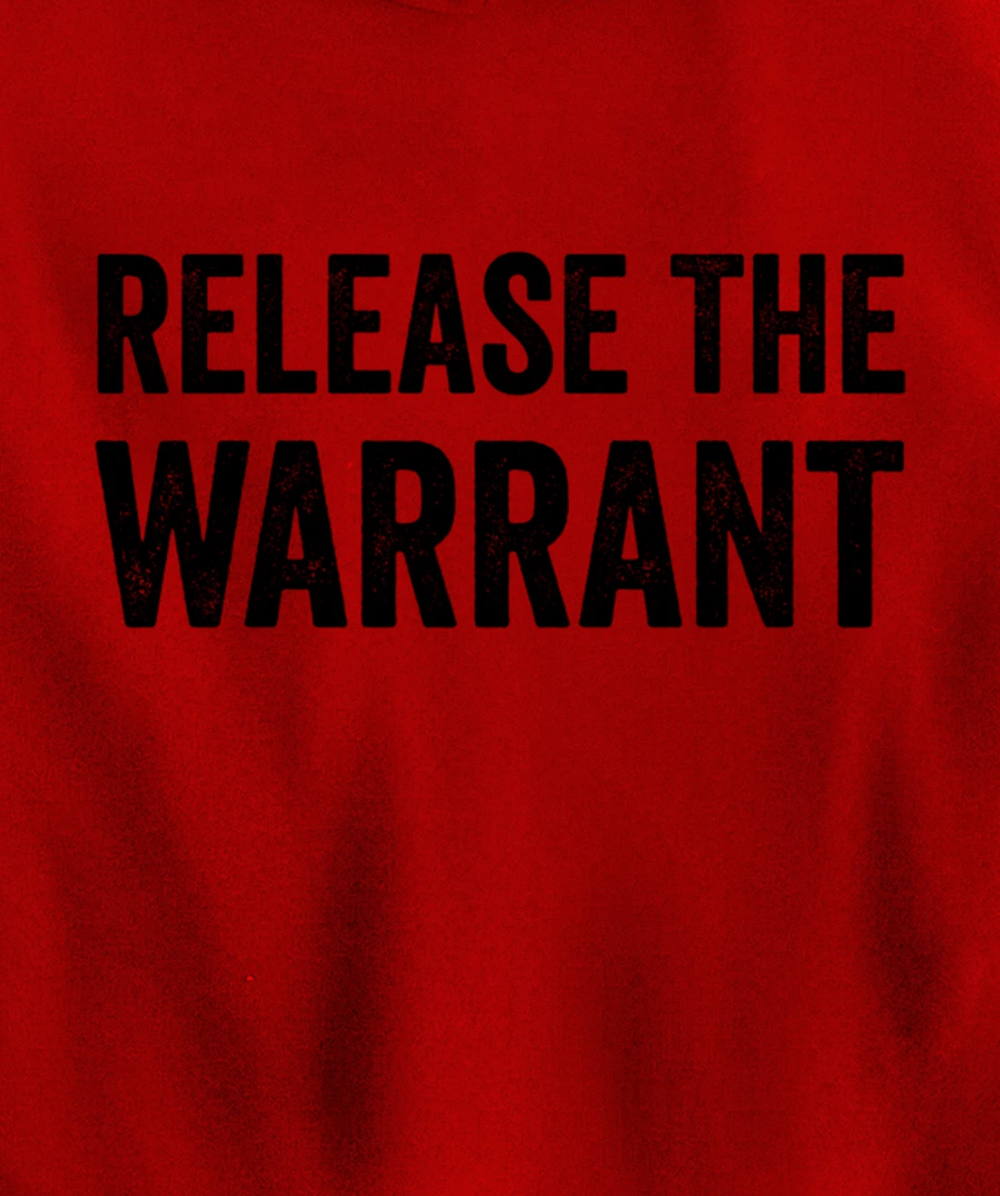 release warrant trump fbi Pullover Hoodie