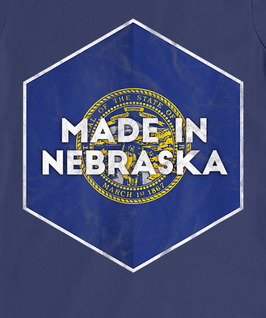 Proud Nebraskan's Distressed Made in Nebraska T-Shirt, Women T-Shirt