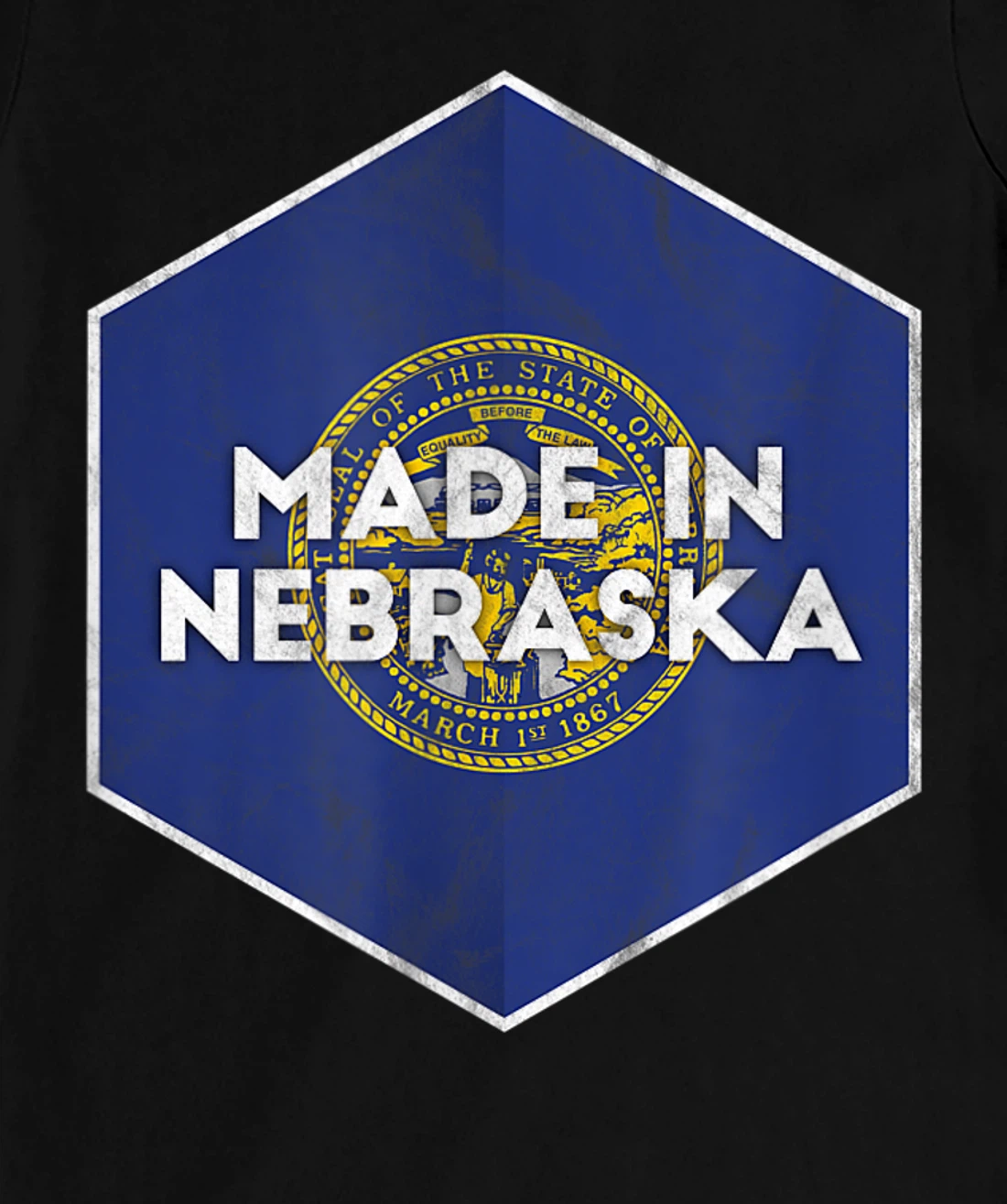 Proud Nebraskan's Distressed Made in Nebraska T-Shirt, Women T-Shirt