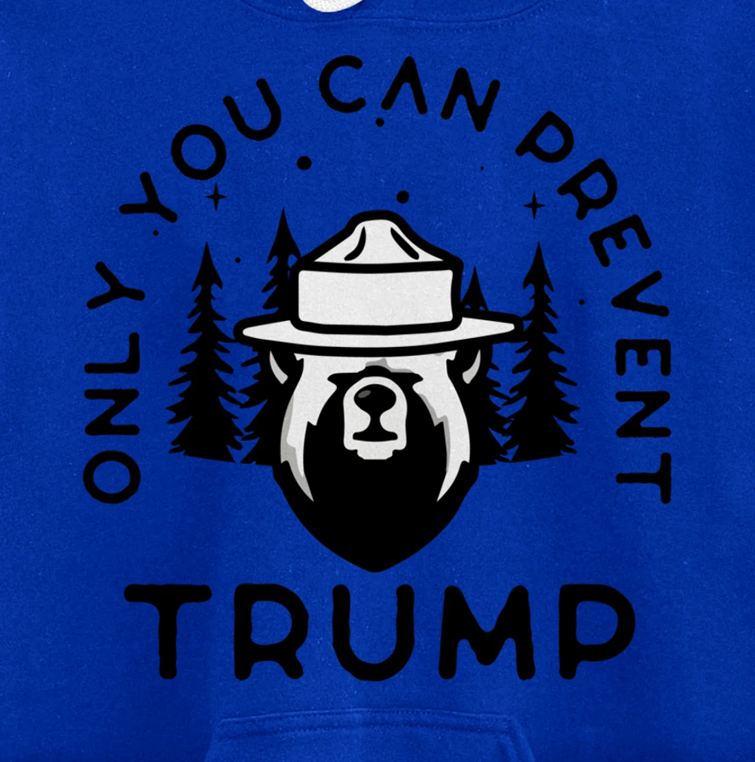 Anti-Trump Only You Can Prevent Trump Pullover Hoodie