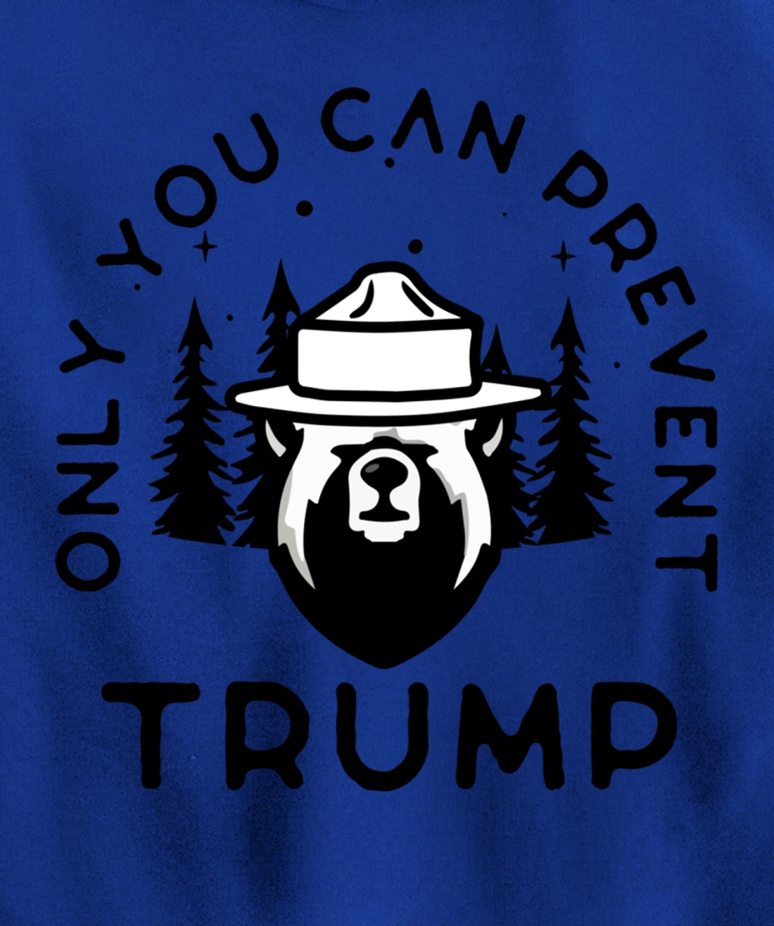 Anti-Trump Only You Can Prevent Trump Pullover Hoodie