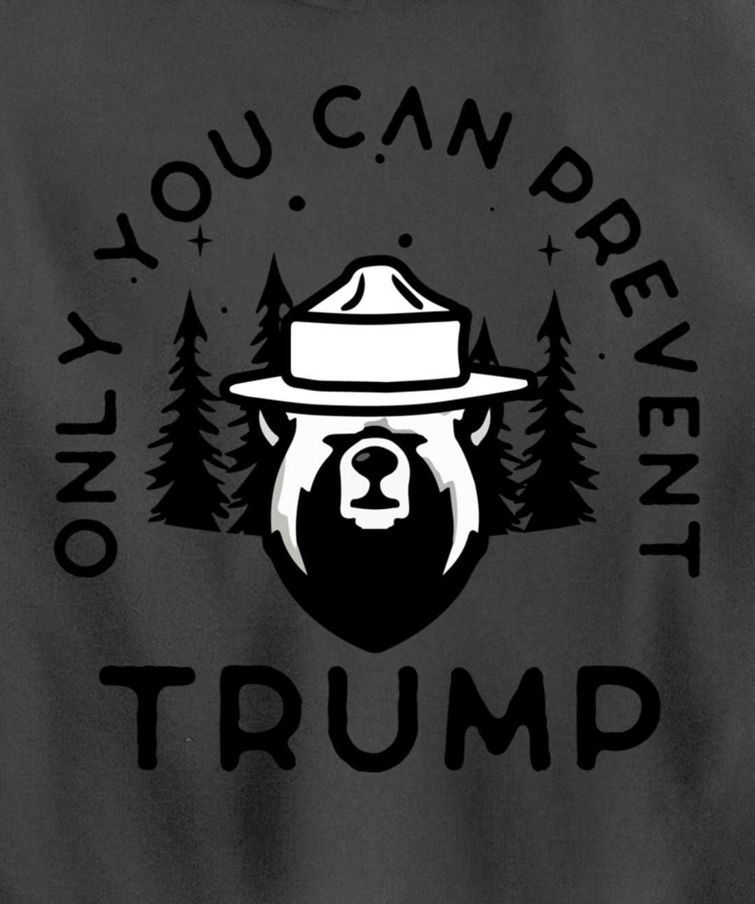 Anti-Trump Only You Can Prevent Trump Pullover Hoodie