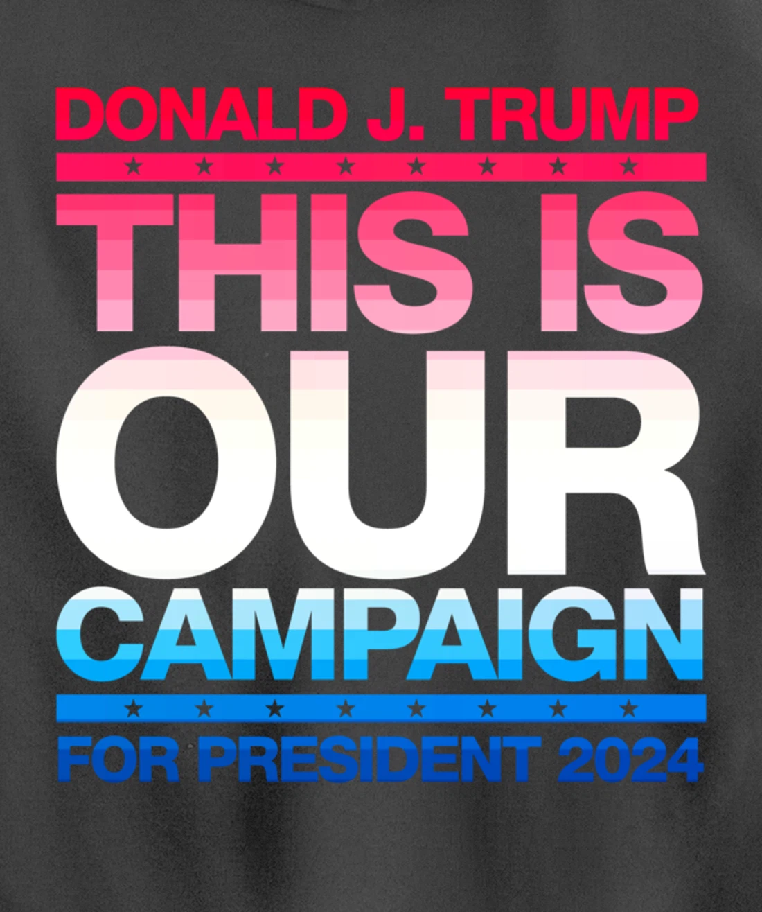 This Is Our Campaign TRUMP 2024 President Candidate Pullover Hoodie